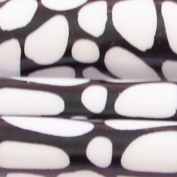 Basic Brushes & Blending sponges set, Brushes set  - MinorityBeauty